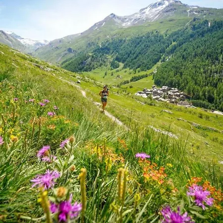 Balme 3b - A Mont Blanc Haven Appartement Chamonix