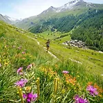Balme 3b - A Mont Blanc Haven דירה שאמוני